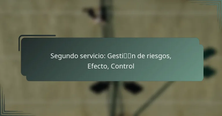 Segundo servicio: Gestión de riesgos, Efecto, Control